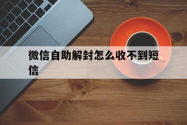 微信注册-微信自助解封怎么收不到短信（微信解封为什么显示没有收到短信）(1)