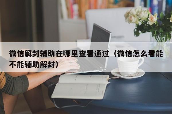 预加保号-微信解封辅助在哪里查看通过（微信怎么看能不能辅助解封）(1)