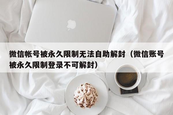 微信解封-微信帐号被永久限制无法自助解封（微信账号被永久限制登录不可解封）(1)