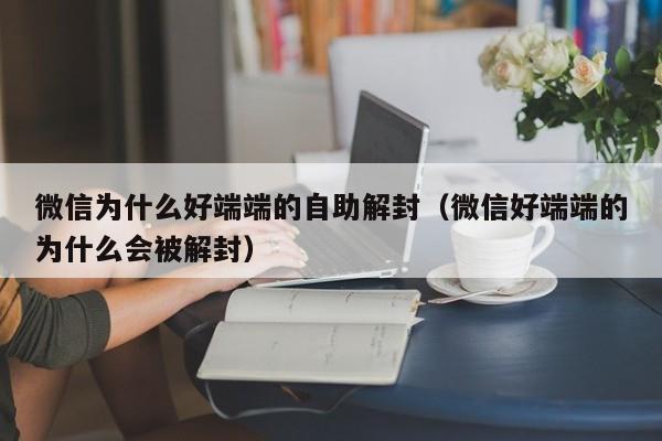 微信解封-微信为什么好端端的自助解封（微信好端端的为什么会被解封）(1)