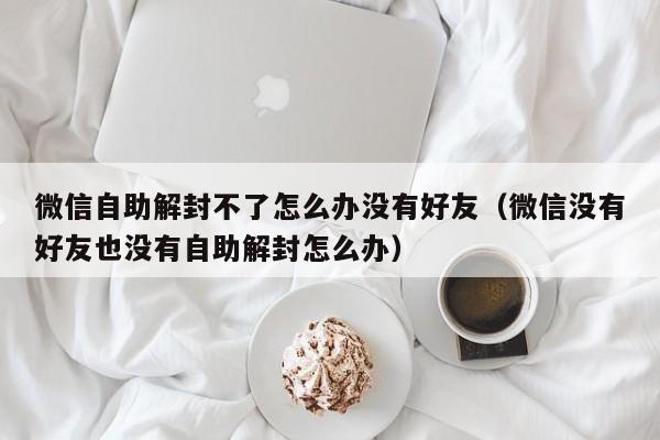 微信辅助-微信自助解封不了怎么办没有好友（微信没有好友也没有自助解封怎么办）(1)