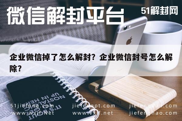 微信注册-企业微信掉了怎么解封？企业微信封号怎么解除？(1)